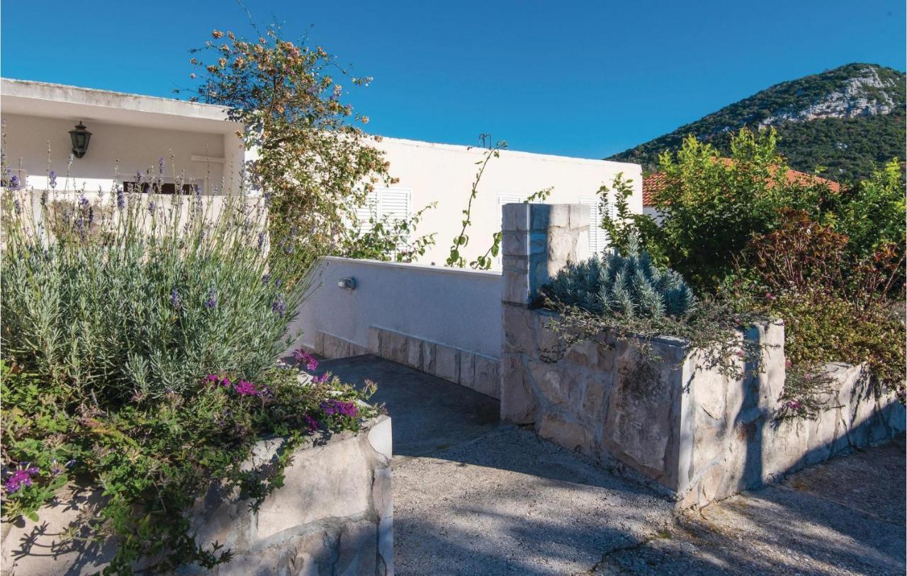 Gorgeous Apartment In Dubrava With Kitchen Luaran gambar
